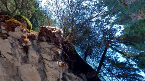 Rock out cropping inception shot with trees Stock Footage 252244825