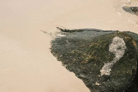 Rock with Painted Question Mark on Tranquil Beach Foto stock
