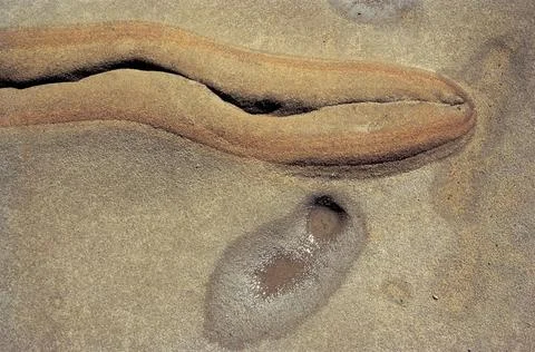 Rock pattern and wet patch, Point lobos, California, U.S.A. United States ... Stock Photos