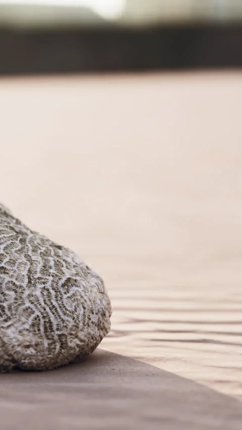 Rock with pattern on sand at a natural location in bright light Stock Footage 342652878