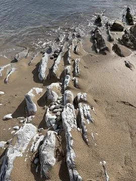 Rock Patterns at the Water’s Edge Foto stock