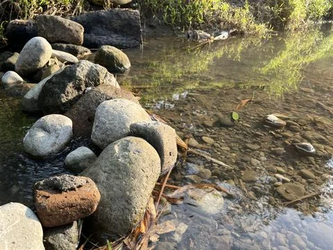 Rock pebble on the side of a river Stock Photos