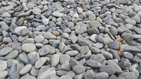 Rock Pebbles, small, rounded, smooth rocks. Texture background for text. Stock Photos