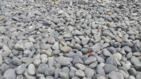 Rock Pebbles, small, rounded, smooth rocks. Texture background for text. Stock Photos