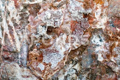 Rock Stock Photos