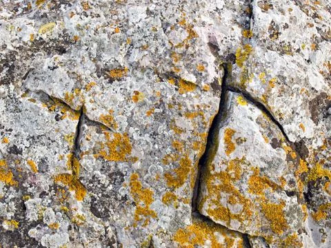 Rock Stock Photos