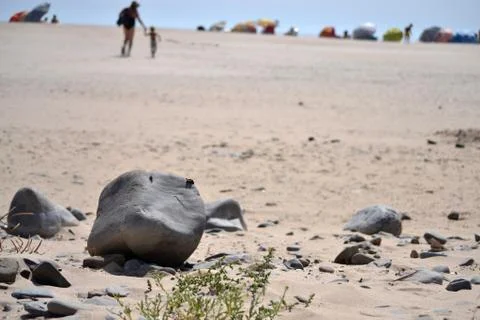 The rock Stockfoto's