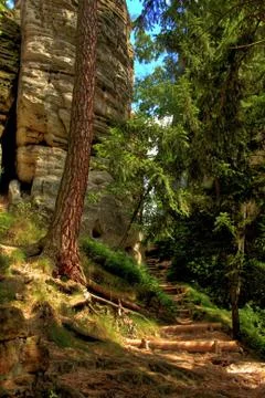 The rock Stock Photos