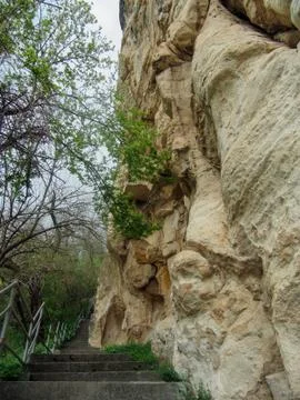 Rock Stock Photos