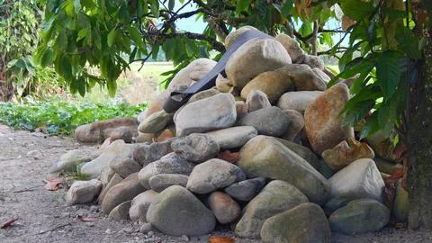 The Rock 스톡 사진