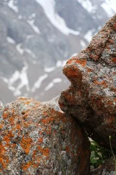 Rock Stock Photos