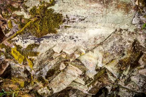 Rock with plants on it Stock Photos