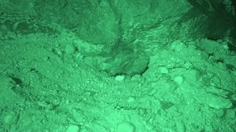 Rock Pocket Mouse Entering Exiting Leaving Hole Burrow Tunnel in Desert Stock Footage 297300062