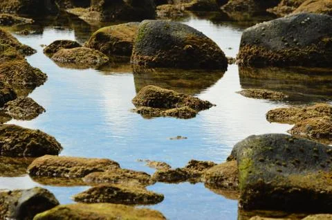 Rock Pond Stock Photos