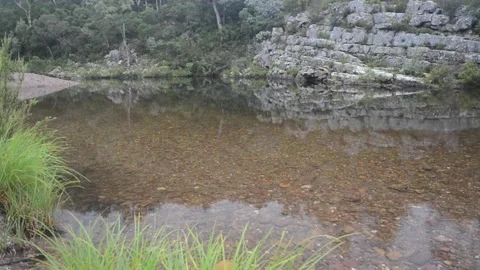 Rock pool, Avon River. Stock Footage 171147089