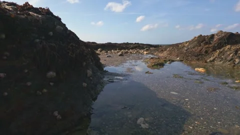 Rock pool with clear water and pebbles on Hannafore Beach, Cornwall Video stock 343410477