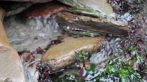 Rock-pool flowing water close-up (2) Stock Footage 43387346