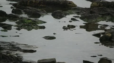 Rock Pool Stock Footage 10759288