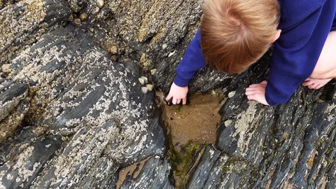 Rock pool Stock Footage 93022086