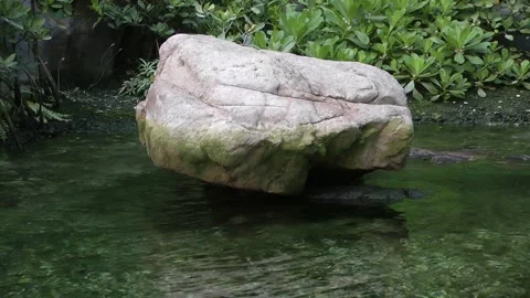 A rock in the pool Stock Footage 343615364