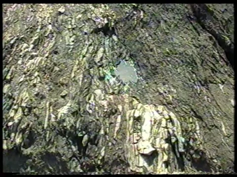 Rock Pool Stock Footage 343696987
