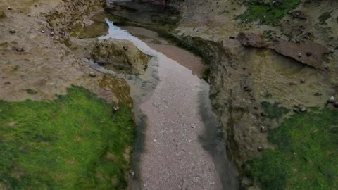 Rock Pool green Stock Footage 333582634