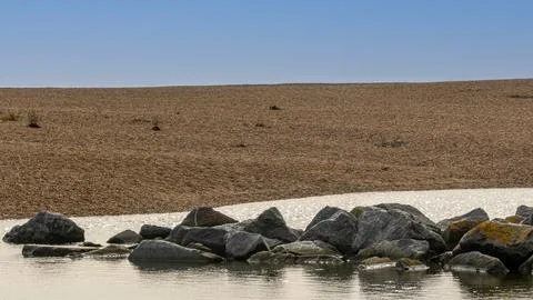 Rock pool on a pebble beach Stock Photos