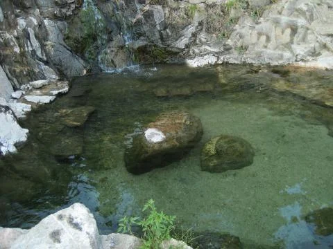 Rock Pool Stock Photos