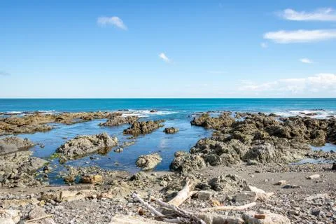 Rock Pool At Red Rocks Coast, NZ Stock Photos