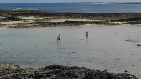 Rock Pooling in Corralejo Stock Footage 301654319
