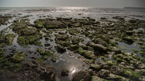 Rock Pools 2 Stock Footage 51437889
