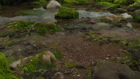 Rock pools on the beach Devon England. Stock Footage 338033960