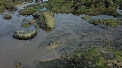 Rock pools on beach at low tide 動画素材 194198772