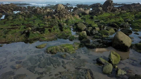 Rock pools on beach at low tide in summer in Portugal. Wide angle Stock Footage 194198877