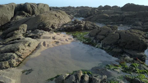 Rock pools on beach at low tide, tilt up. 動画素材 194199206