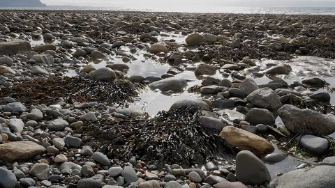 Rock pools 動画素材 95860430