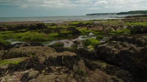Rock pools with a sea view Devon England. Stock Footage 338033975