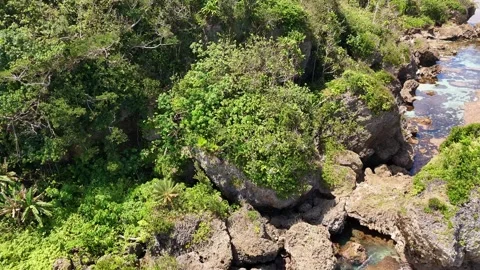 Rock Pools Siargao Philippines Drone Aerial, Natural Tidal Pools Vidéo 338042434