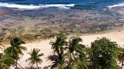 Rock Pools Siargao Philippines Drone Aerial, Natural Tidal Pools Vidéo 338042443