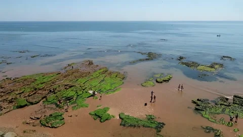 Rock pools in Sidmouth, Devon Stock Footage 155584463