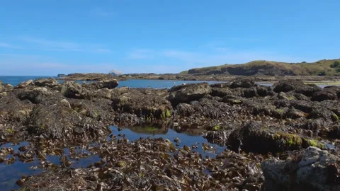 Rock Pools on a sunny day Stock-Footage 202069045