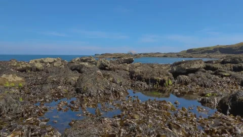 Rock pools on a sunny day. Stock Footage 202069060