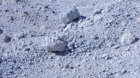 Rock pumice tree Stock Footage 86903799