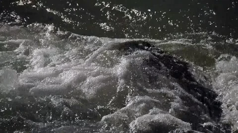 Rock in raging river 스톡 동영상 1066070