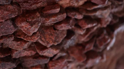 Rock Rain drop footage Stock Footage 87067161