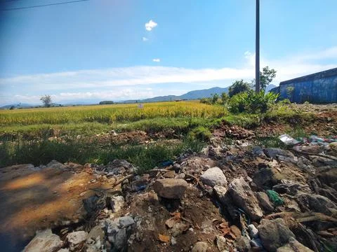 Rock in the ricefield Foto stock