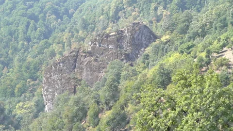 Rock Rising in the Forest Video stock 313346747