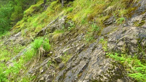 Rock on the river Chusovaya Stock Footage 113178615