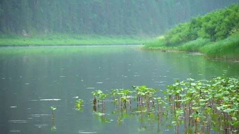 Rock on the river Chusovaya Stock Footage 113178665