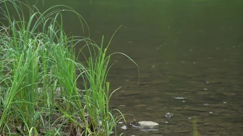 Rock on the river Chusovaya Stock Footage 113178689